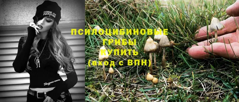 ссылка на мегу ТОР  Завитинск  Псилоцибиновые грибы MAGIC MUSHROOMS 